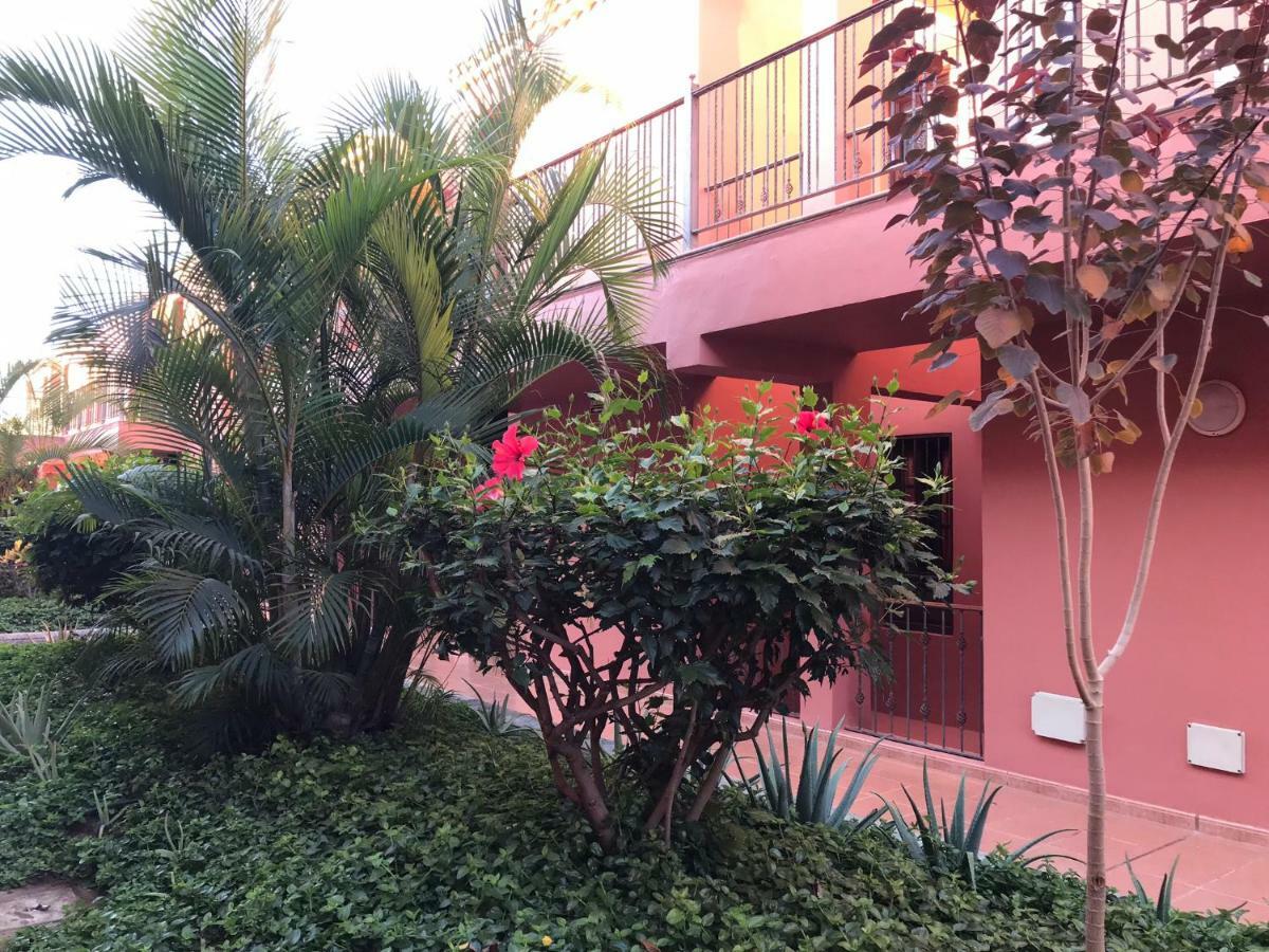 Dreaming The Sun Tenerife Costa Del Silencio Exterior photo